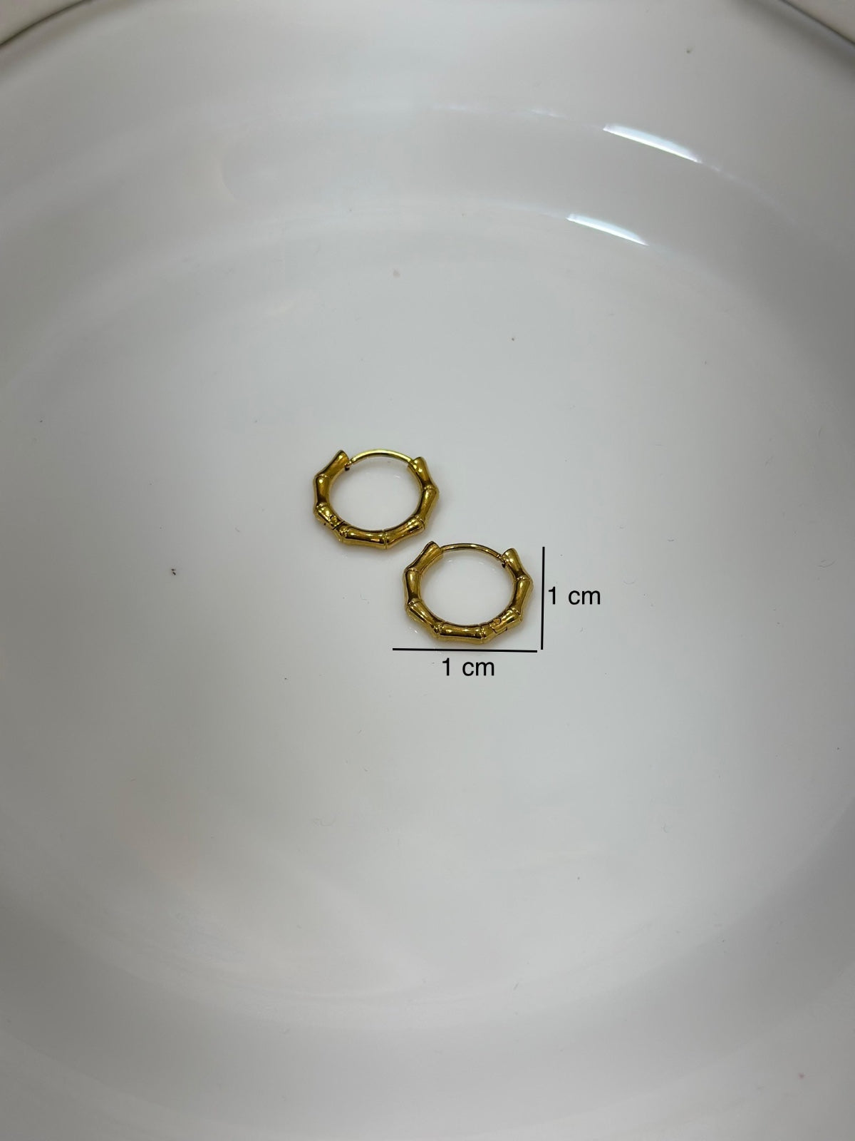 Bamboo Earring