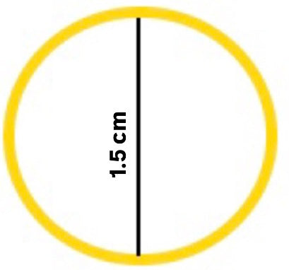 Sonae statement earrings