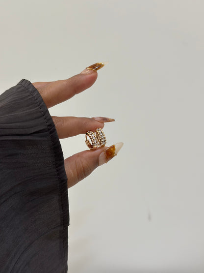 Eloura premium earrings