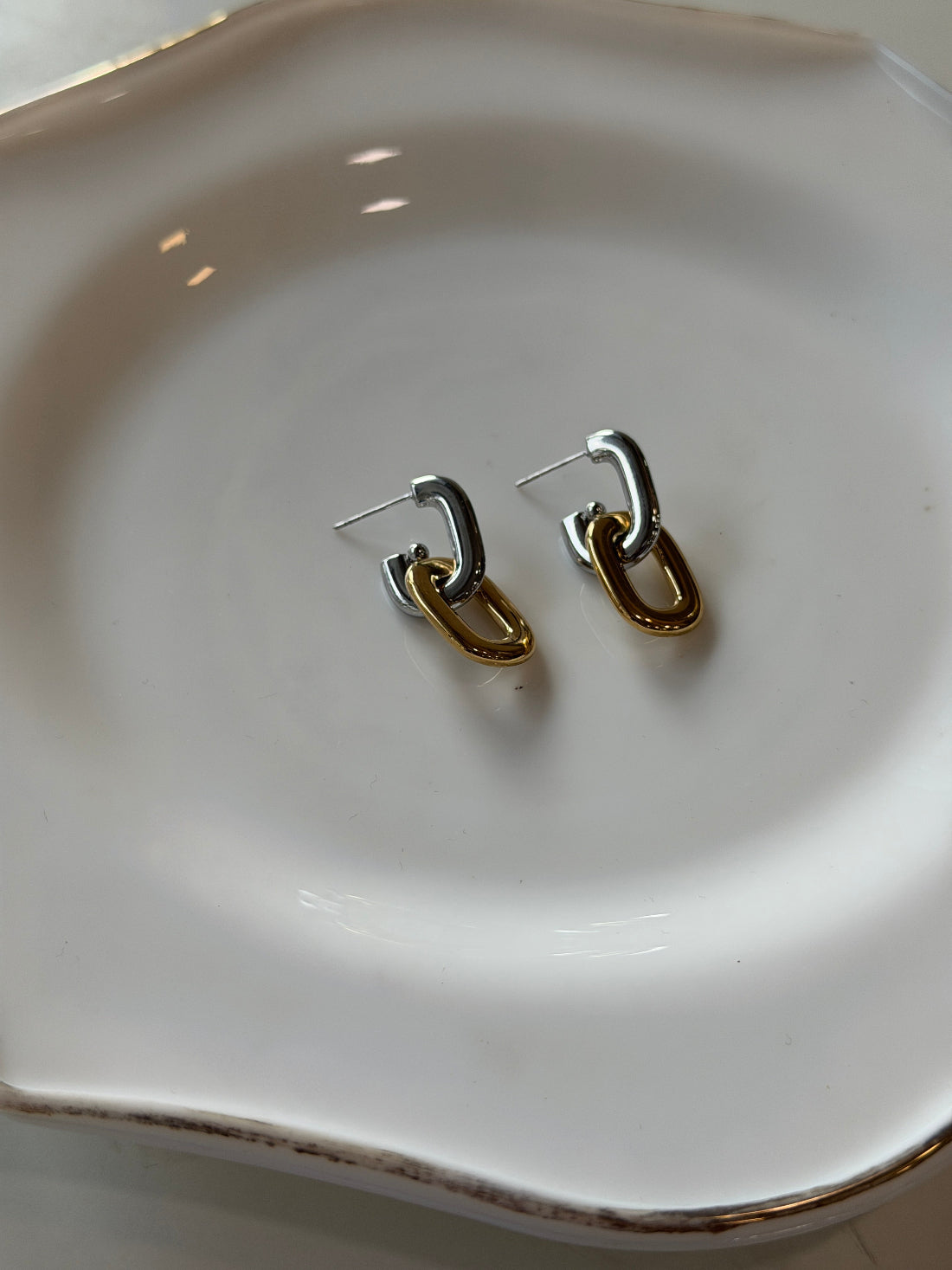 Dura two tone earrings