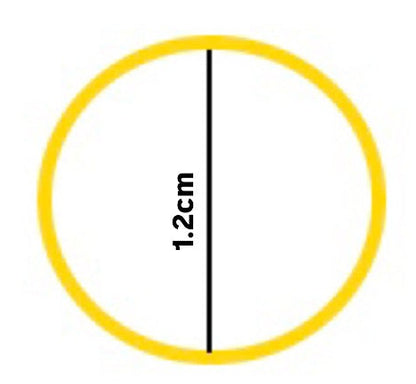 Enara dainty earrings