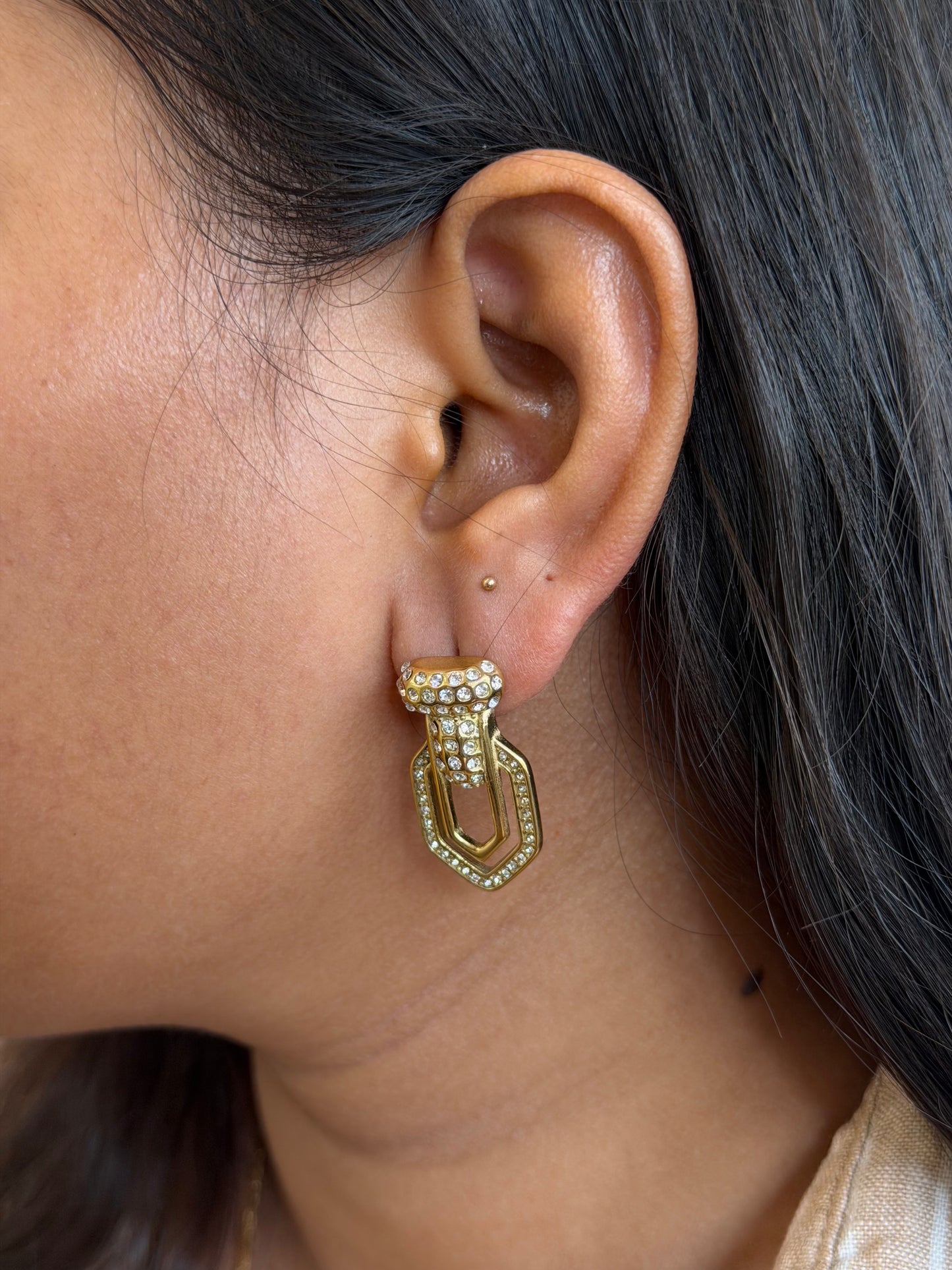 Tuna statement earrings