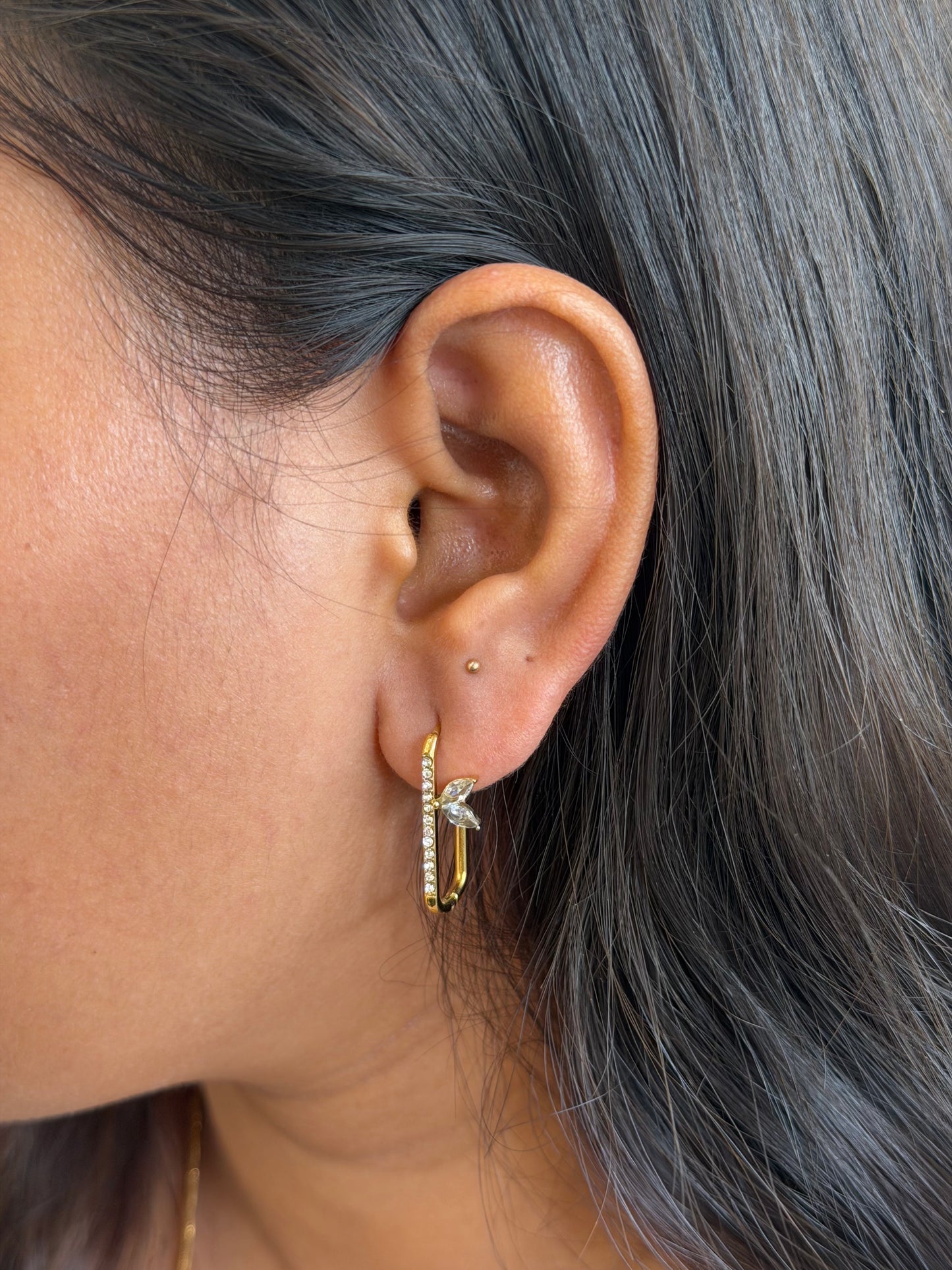 Luxe eric delicate earrings