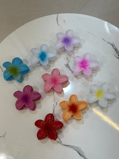 Pinteresty floral claw clips - Big