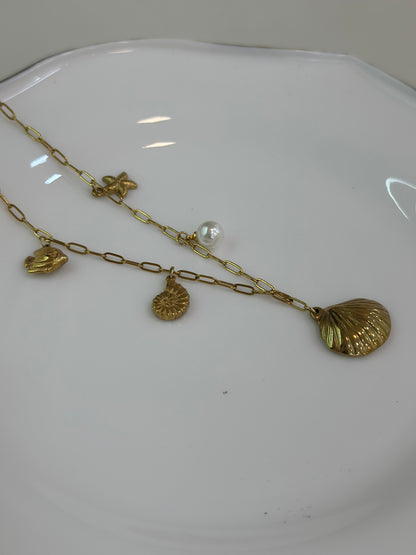Shell multicharm necklace