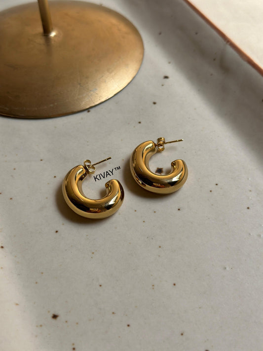 Chic Earring