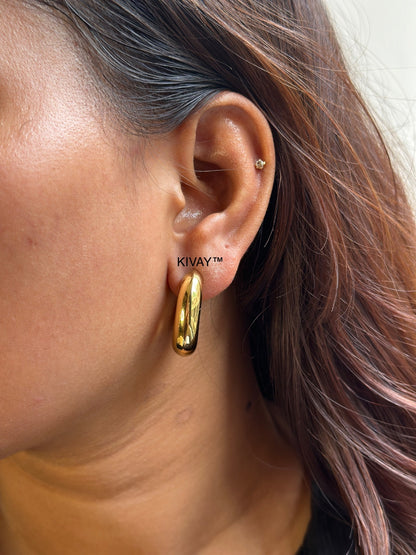 Chic Earring