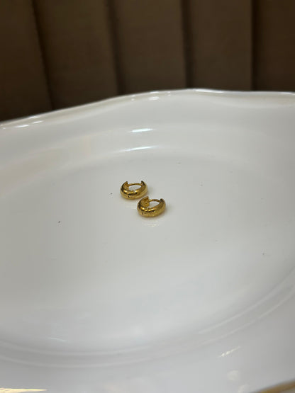 Hiva Earring