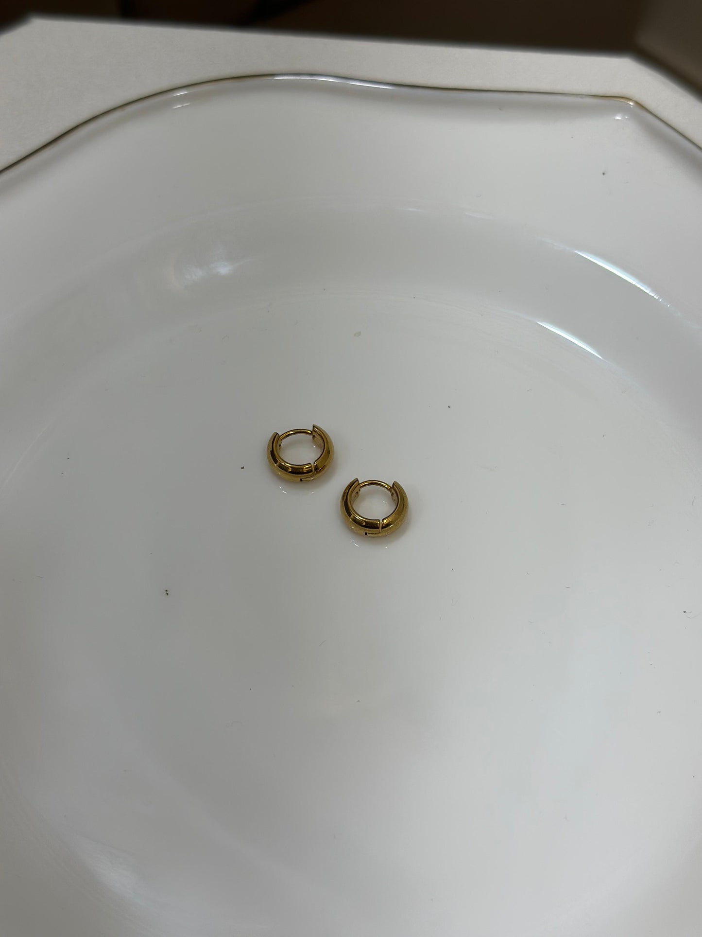 Hiva Earring
