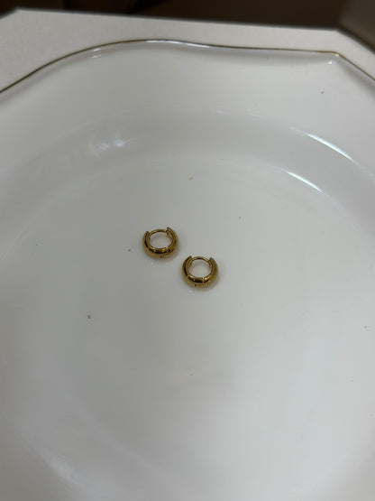 Hiva Earring