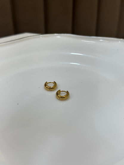 Hiva Earring