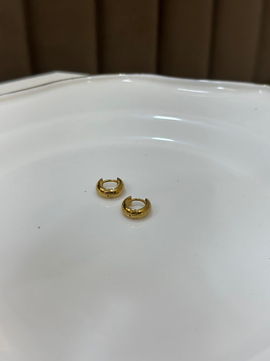 Hiva Earring