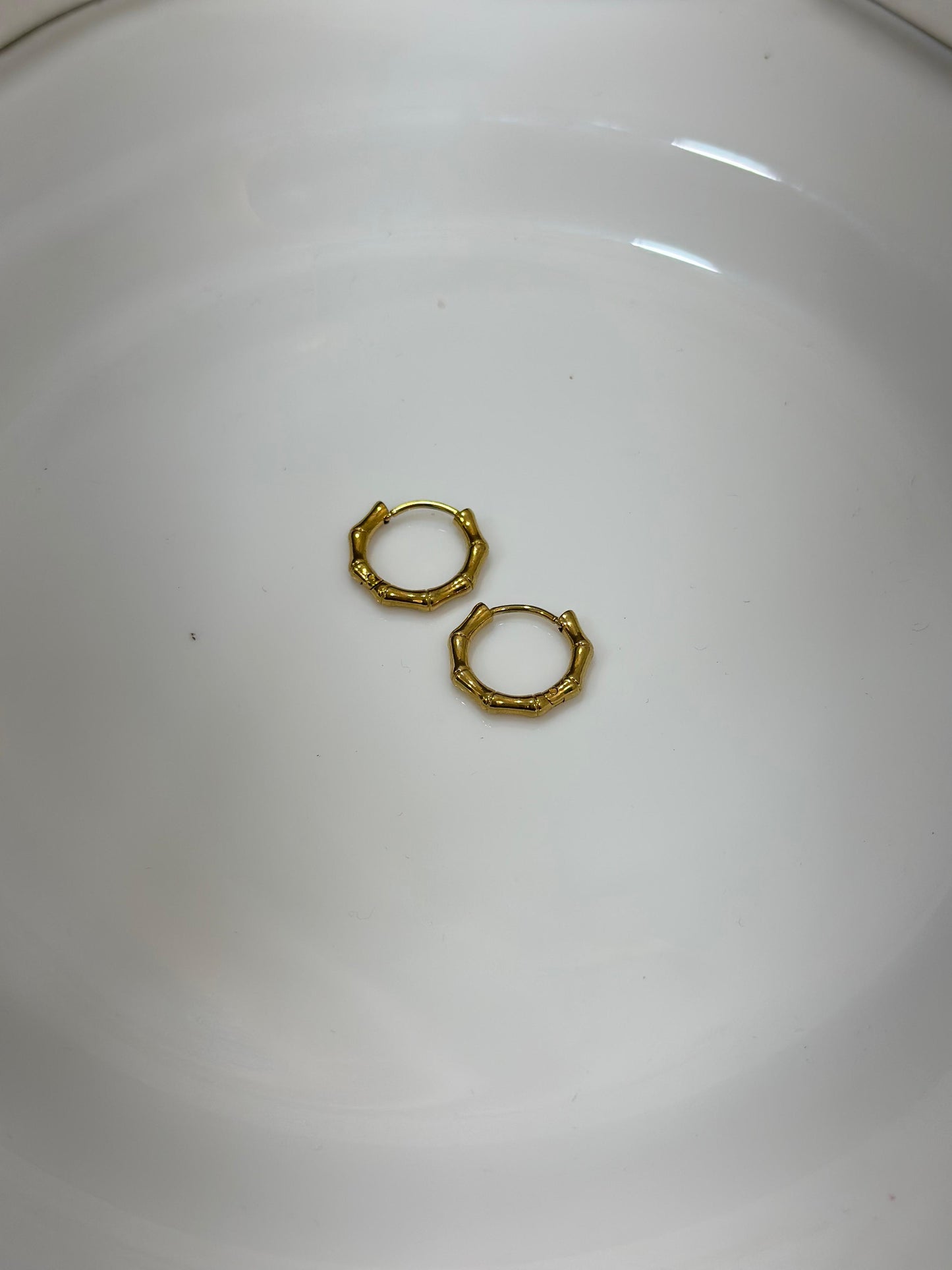 Bamboo Earring