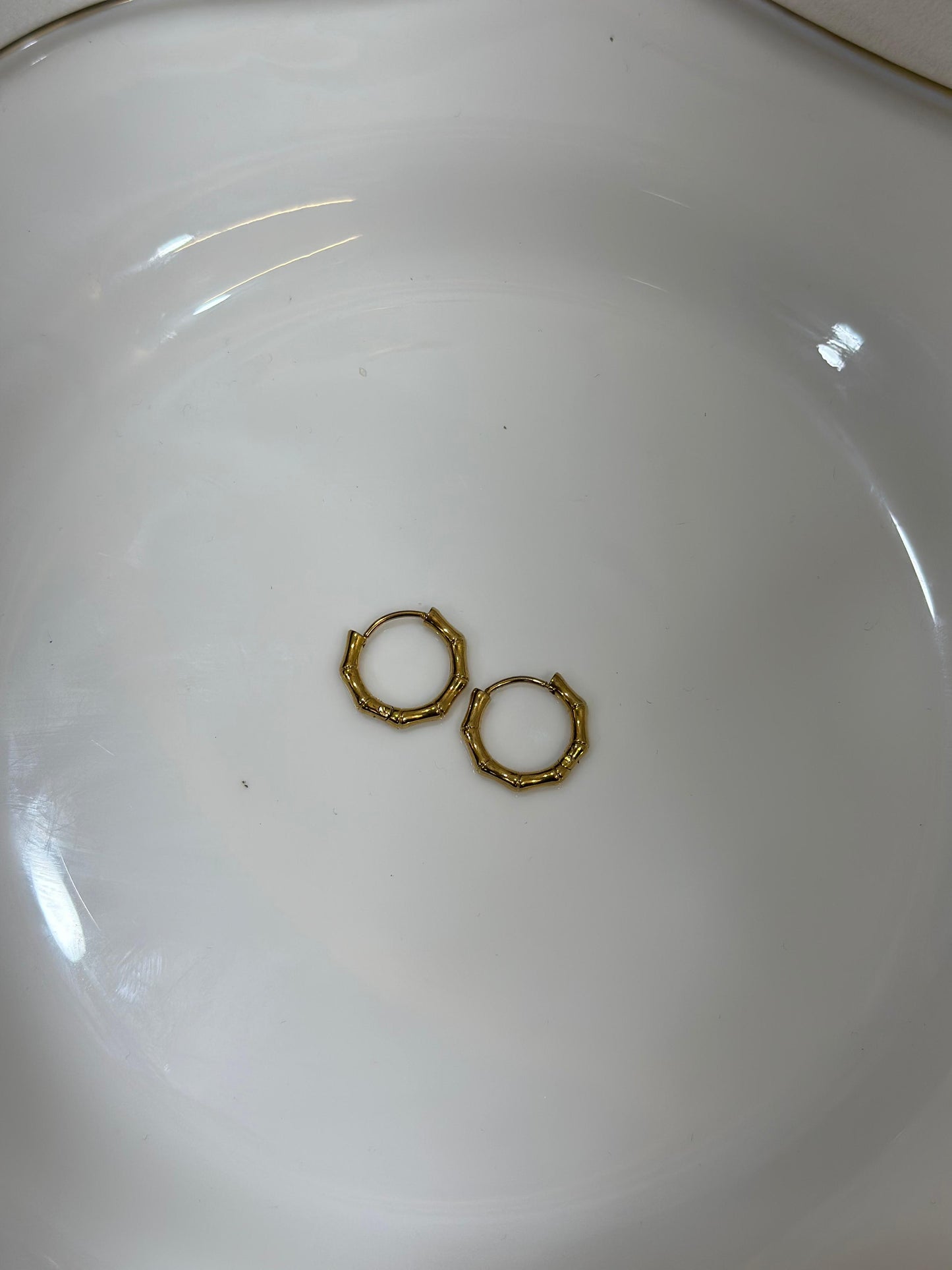 Bamboo Earring