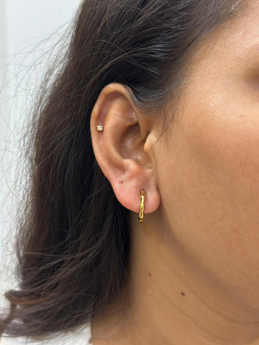 Bamboo Earring