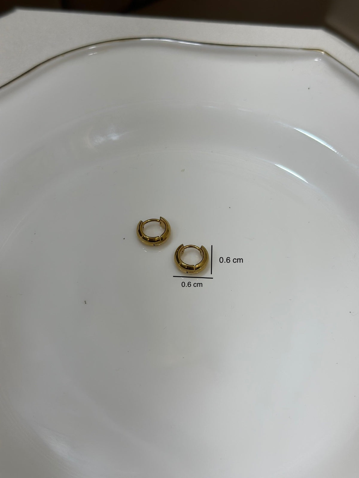 Hiva Earring